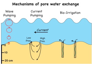 Pore Water 116