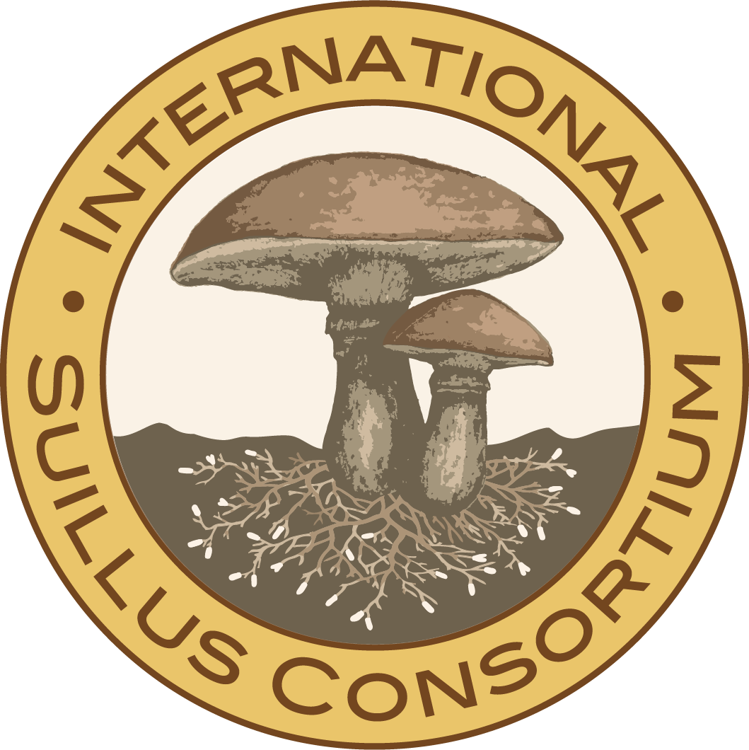 Suillus Consortium Logo