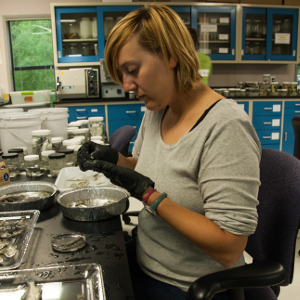 Beth Roesler works up samples in the lab