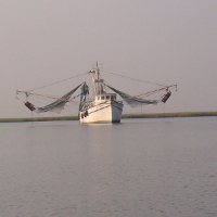 A shrimp trawler returning to port