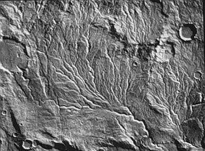 Dendritic Drainage Pattern, Mars