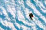 highest sky dive