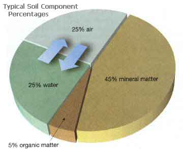 components of typical soil