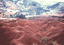 barren deforested land