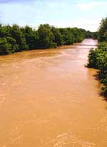 muddy river 