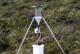wire-harp fog gauge
