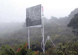fog catchment screen