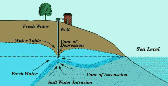 Saltwater Intrusion Under Well salt water intrusion under well