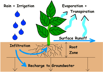 soil water balance relationships