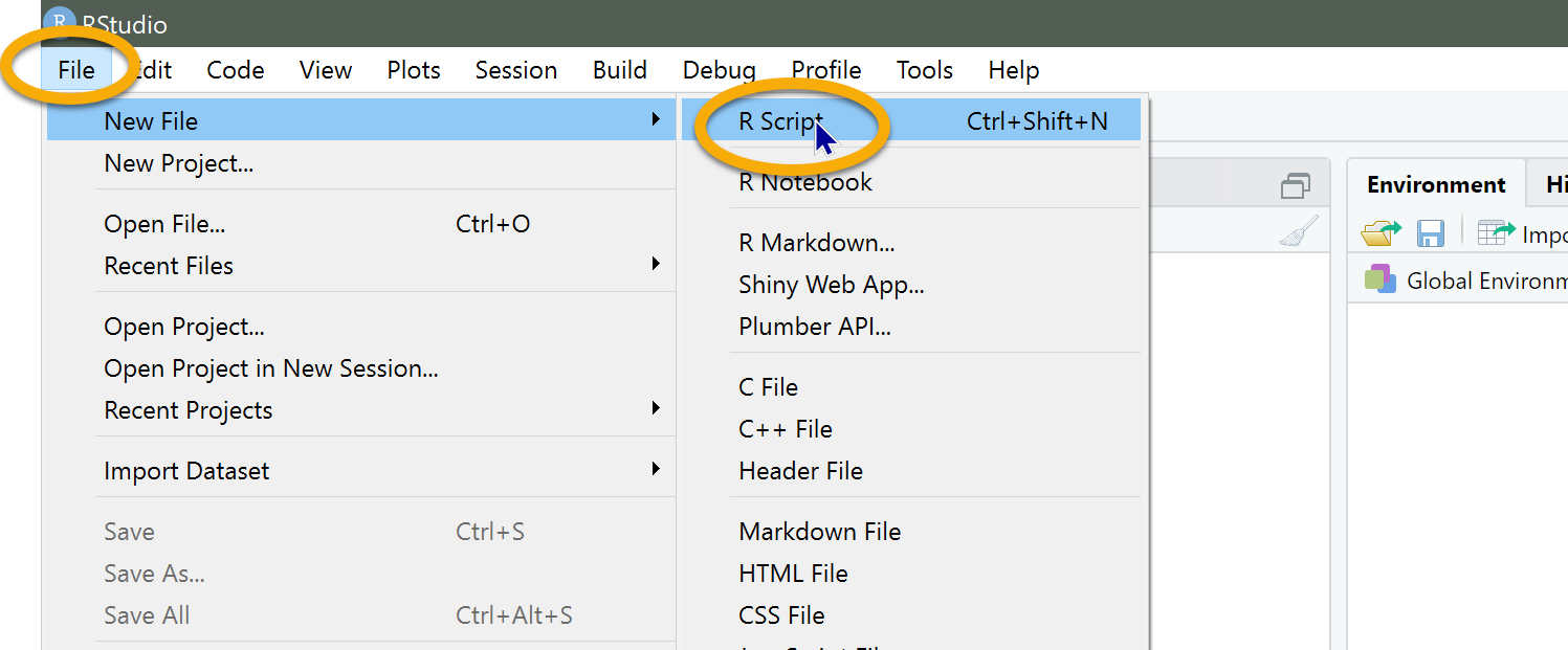 Click File, then New File, then R Script.