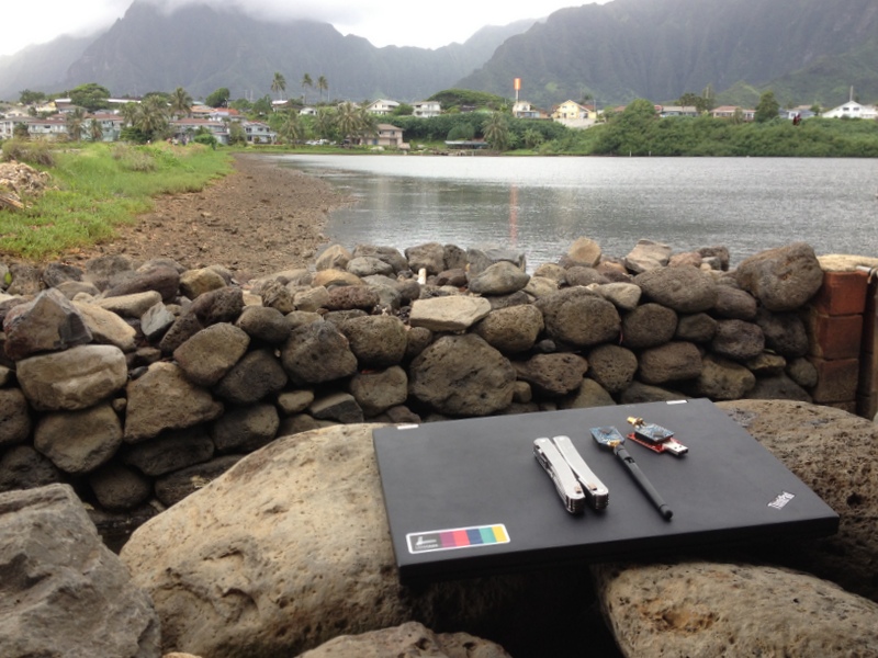 Real-time In Situ Environment Monitoring