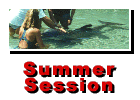 Summer Session