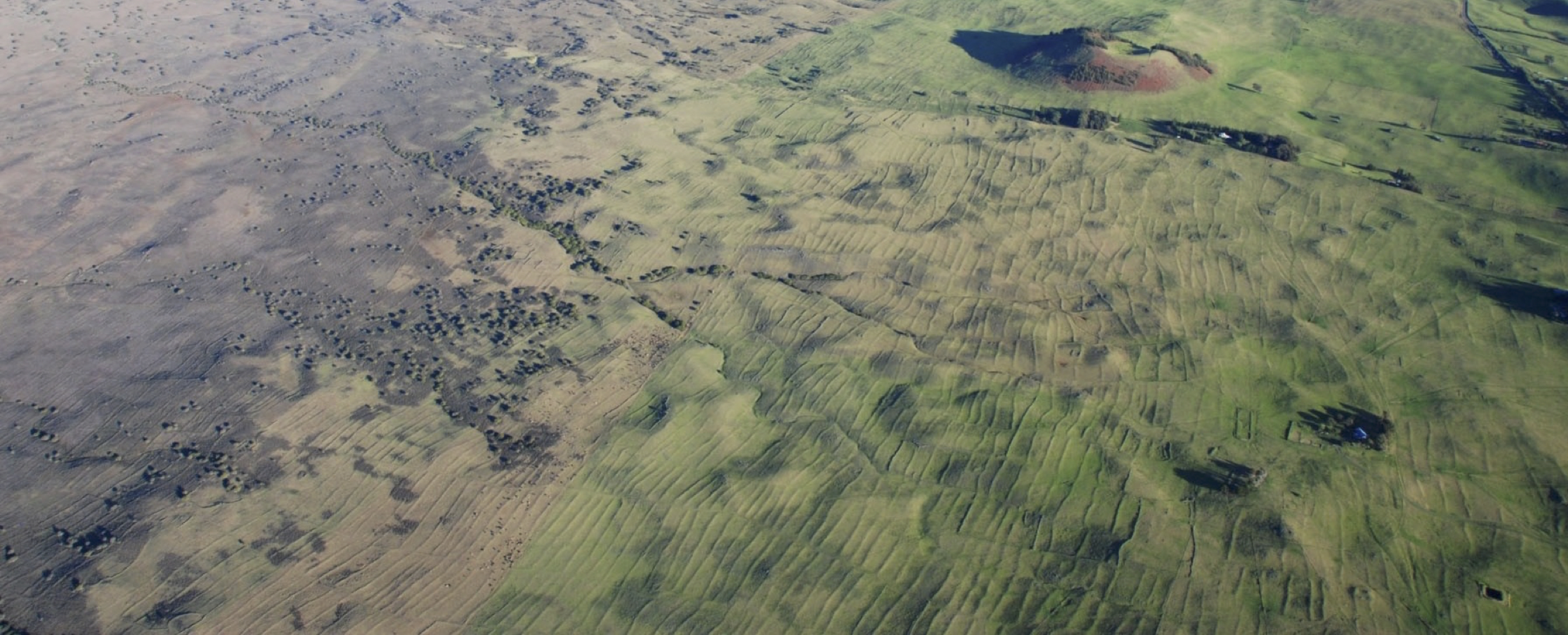 Indigenous Cropping Systems Lab