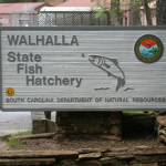 Entrance to Wallhalla State Fish Hatchery where this work was conducted